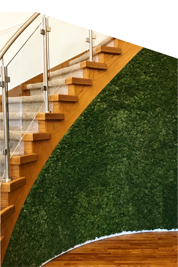 Preserved moss installed on a curved staircase