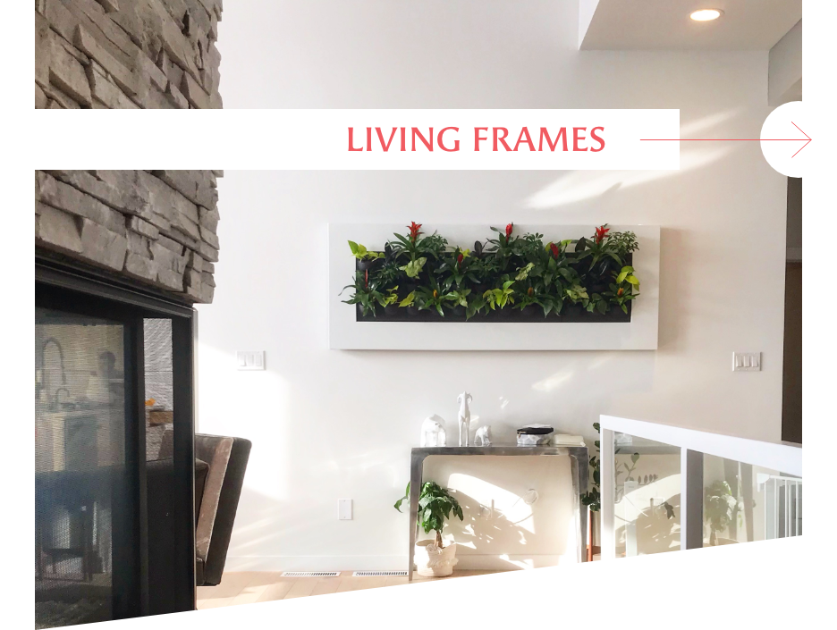 Living frames