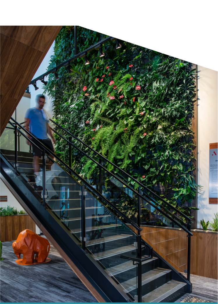 Living green wall along the staircase at Altea spa in Winnipeg