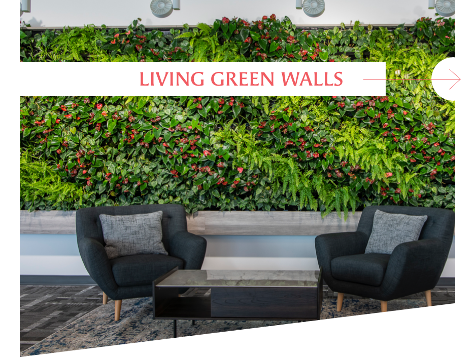 Living green walls