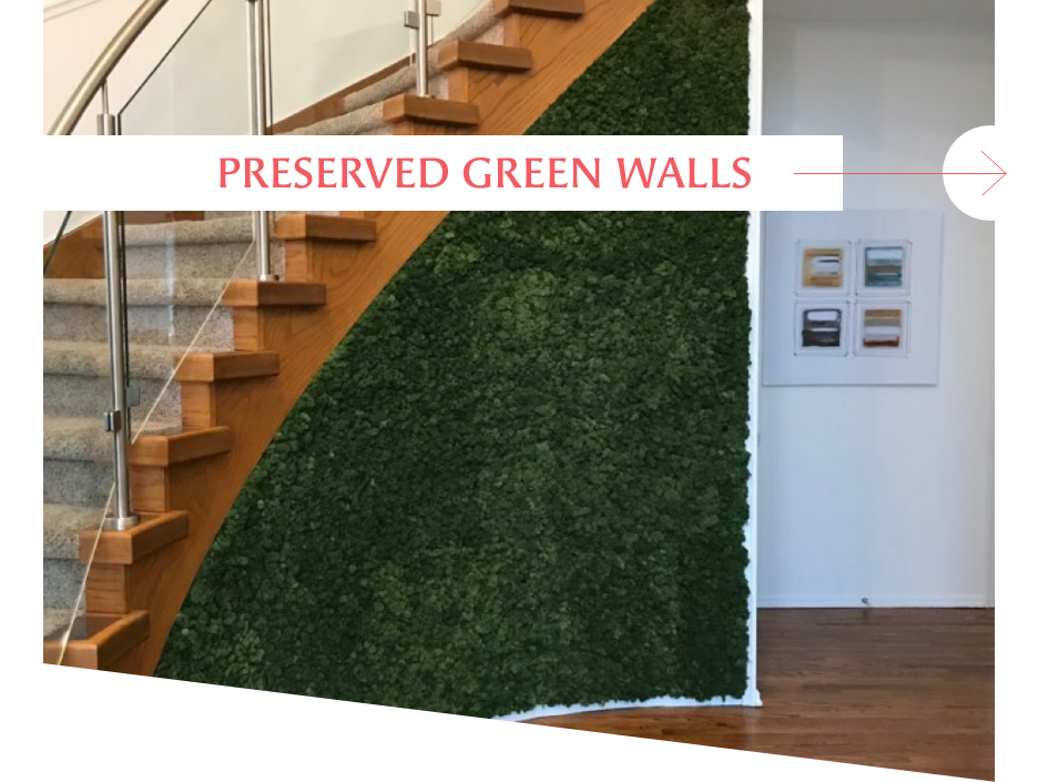 Preserved green walls