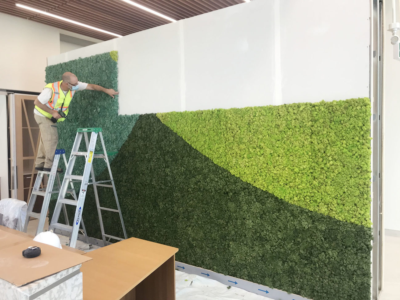 Installing the preserved moss wall