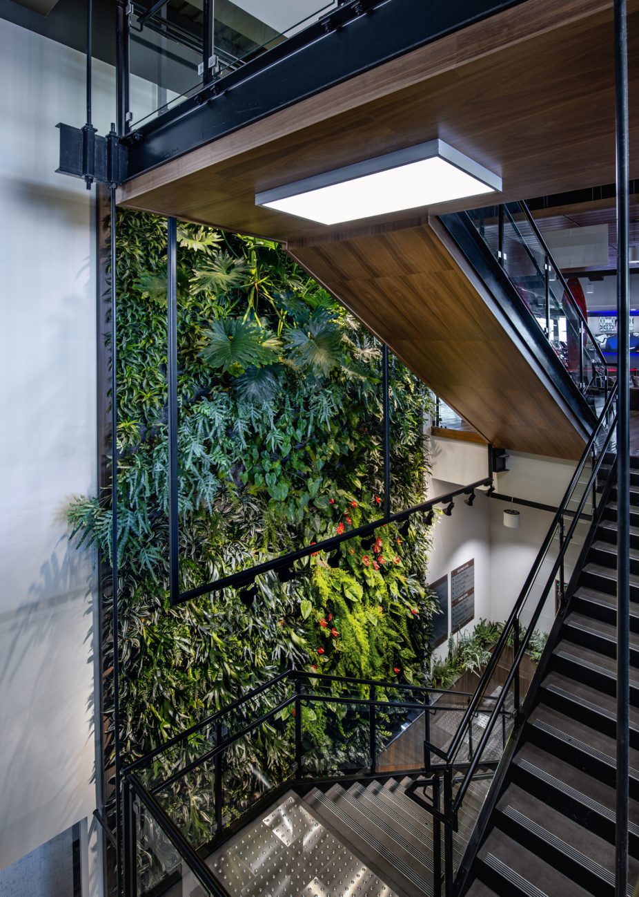 Living green wall at Altea Manitoba