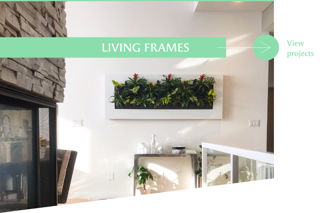Living frame projects by Off the Wall Greenscapes