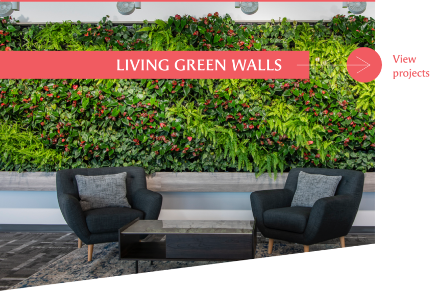 Project Gallery – Off the Wall Greenscapes