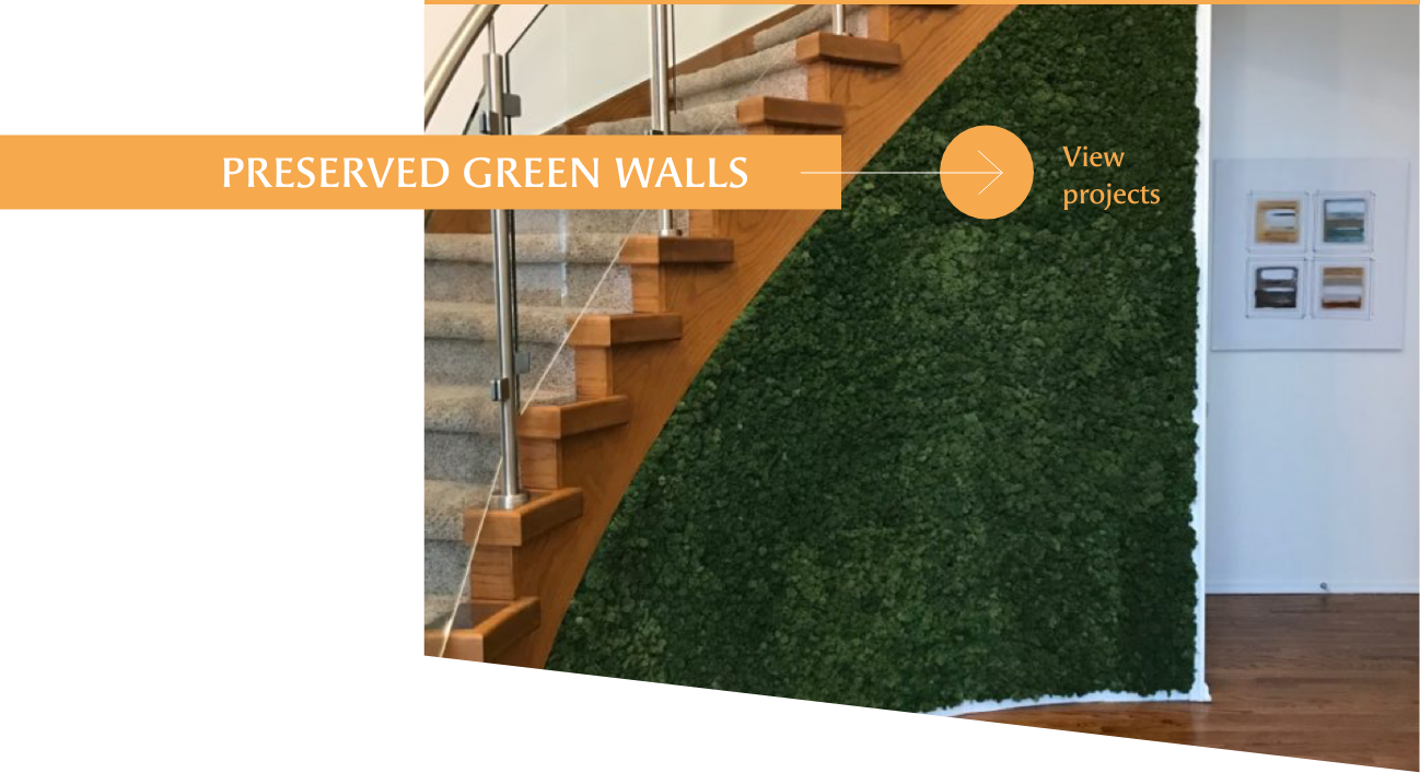 Preserved green wall projects by Off the Wall Greenscapes