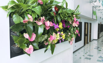 Floral green wall