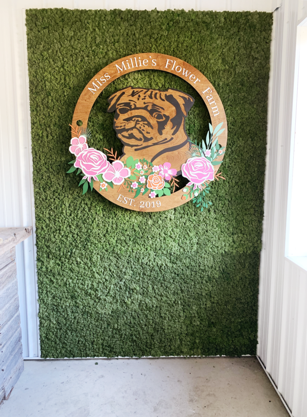 Miss Millie’s Flower Farm Off the Wall Greenscapes Miss Millie’s Flower Farm Off the Wall Greenscapes