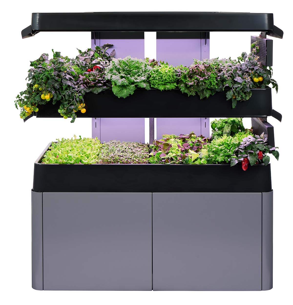 Two tiered indoor garden system