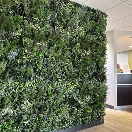 serenity-dental-3-psedit